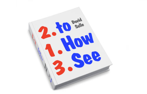 the-get-how-to-see-david-salle